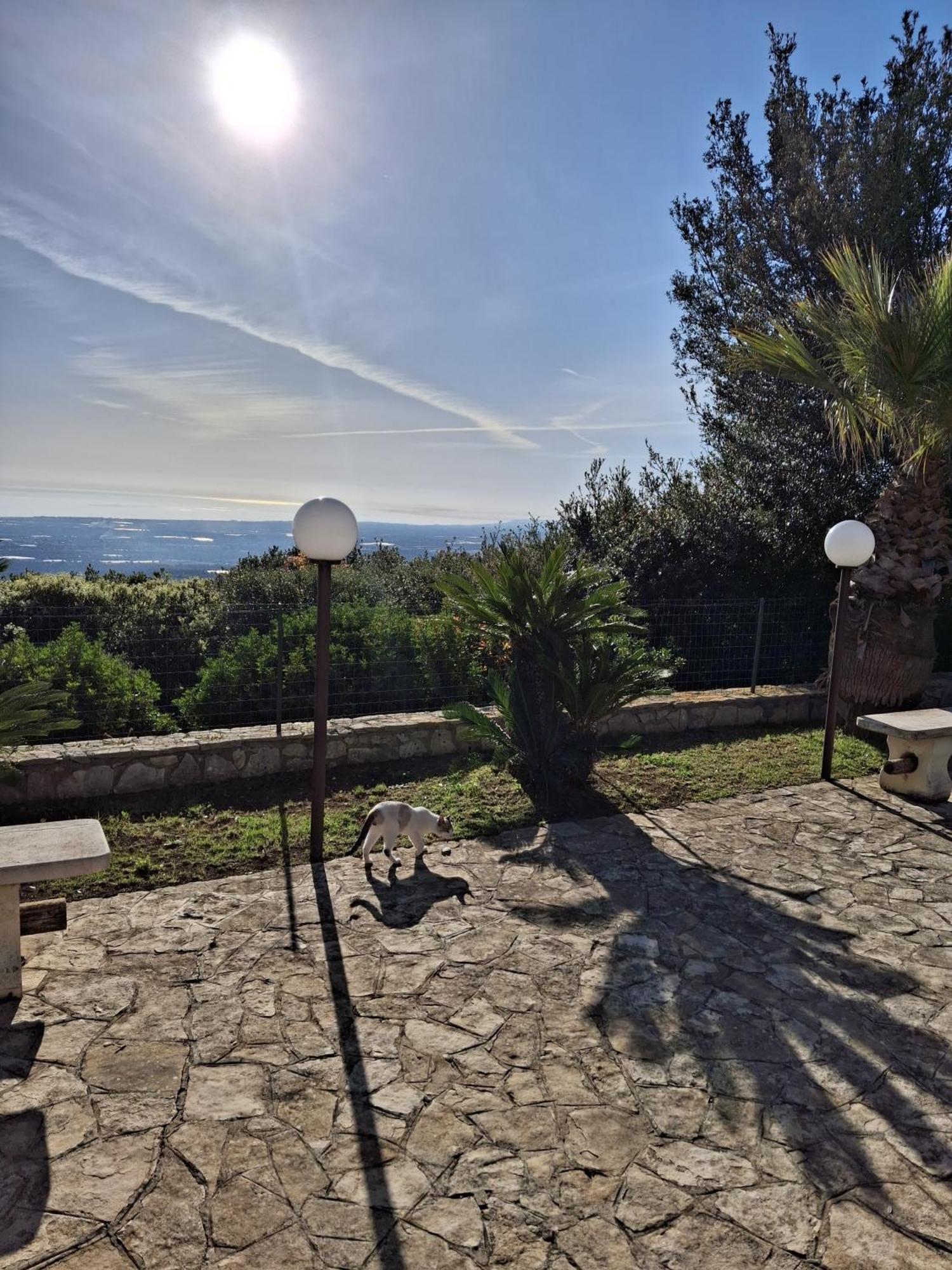 Villa Maremonti Монополи Екстериор снимка